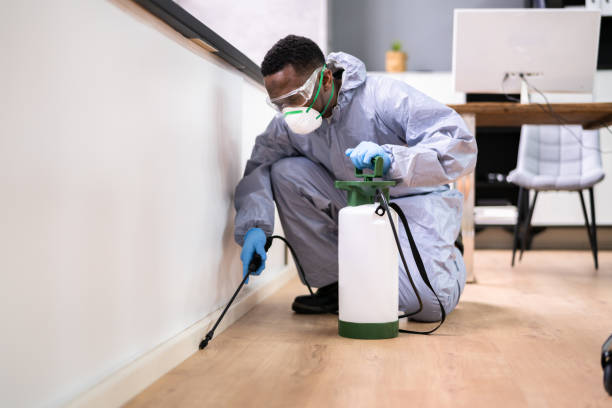 Real Estate Pest Inspections in Chackbay, LA